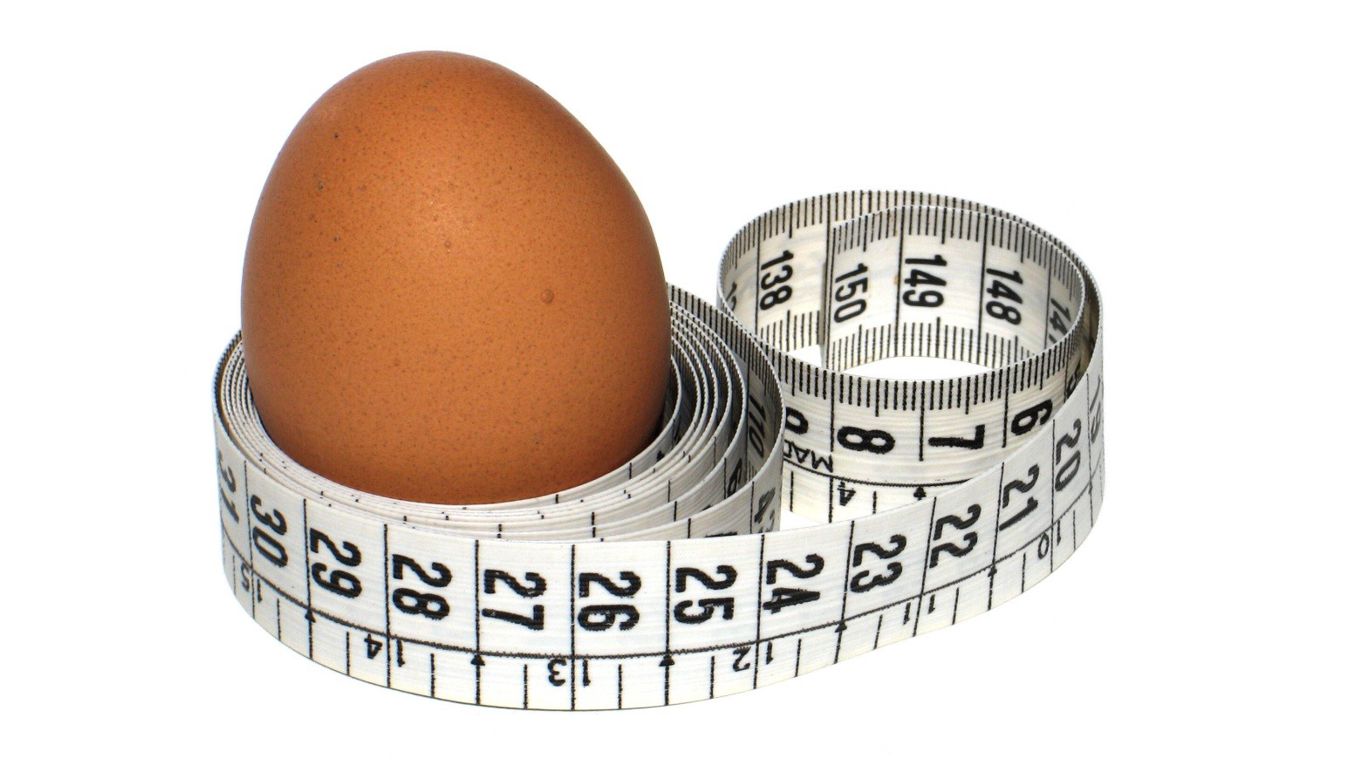 Диета На 7 Дней Яйца