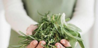 Эффективный сбор при гастрите с повышенной кислотностью