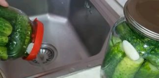 Из заготовок сливаем жидкость