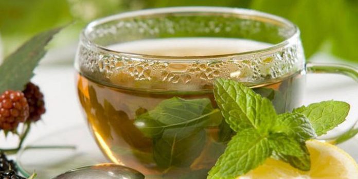 Можно ли зеленый чай при грудном вскармливании в первый месяц
