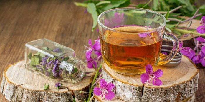 Как часто можно пить иван чай чтобы не навредить здоровью