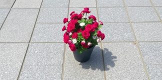 Гранитная брусчатка: почему это вечный выбор для дорожек, площадей и дворов