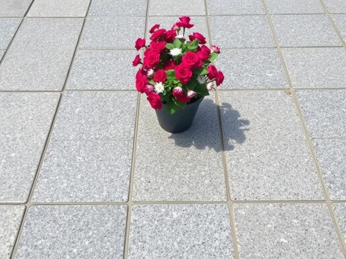 Гранитная брусчатка: почему это вечный выбор для дорожек, площадей и дворов Гранитная брусчатка: почему это вечный выбор для дорожек, площадей и дворов