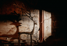 Что делает «Менделеев бар» другим: честное пространство в городе