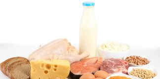 Белковая пища