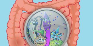 Кишечное отравление