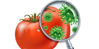 Пищевое отравление