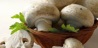 Икра из шампиньонов