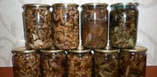 Маринованные опята в банках