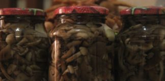 Маринованные опята в банках