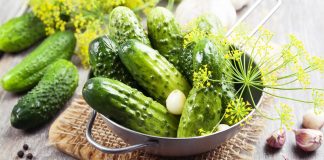 Малосольные огурцы