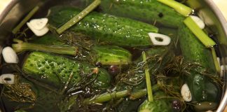 Малосольные огурцы в рассоле