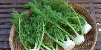 Что это такое