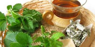 Химический состав листьев земляники