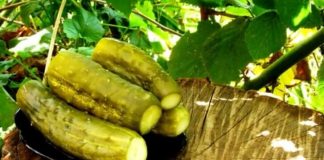 Подробный пошаговый рецепт с 9% уксусом