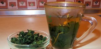 Полезные свойства чая из малины и смородины