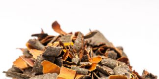 Рецепт чая для похудения на основе крушины