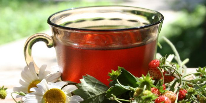 чай из листьев земляники польза как заваривать от чего пьют