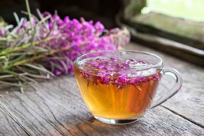 Можно ли пить иван чай при гастрите с повышенной кислотностью