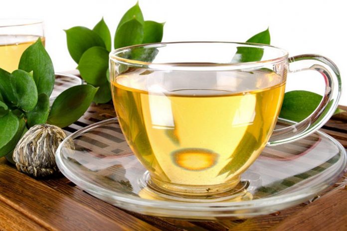 зеленый чай при камнях в почках можно пить или нет