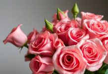 Как собрать идеальный букет из роз, чтобы он сказал всё за вас