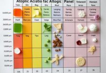 Атопическая панель аллергенов: что это такое и как она помогает в повседневной практике