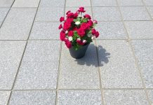 Гранитная брусчатка: почему это вечный выбор для дорожек, площадей и дворов