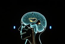 Показания к МРТ головы: когда врач назначает это обследование