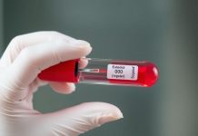 Анализ уровня эстрадиола в крови: оценка главного стероидного гормона молодости и репродуктивного здоровья